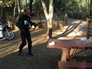 ...early in the morning