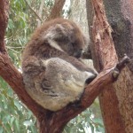 Alle ziemlich entspannt hier...