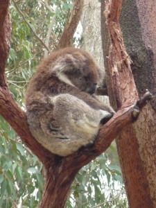 Everybody's relaxed here