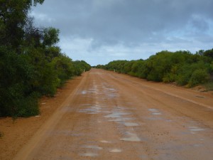 due to the rain a still wet dirt road