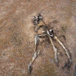 Ganz schön trocken hier