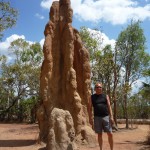 Cathedral Termitenhuegel