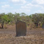 Litchfield NP, Magnetische Termitenhuegel