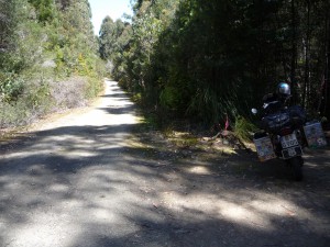P1100058