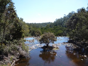 P1100070
