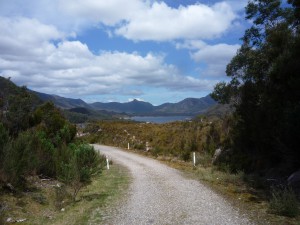 P1100164