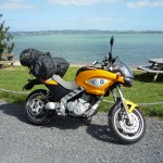 Mein neues Kaelbchen