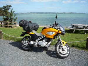 Mein neues Kaelbchen