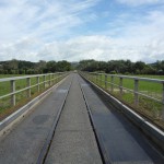 Manchmal muss man sich eine Strasse halt teilen.