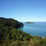 Und die Rückwanderung