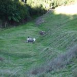 ...und ne tödliche hinzu, wenn es schief geht!