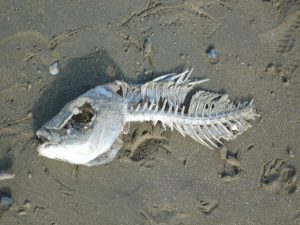 P1110854