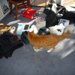 Wer macht hier nur so ein Durcheinander????