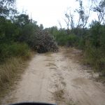 ...das macht es nicht besser...