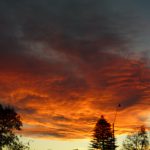 Harrington abends um halb sechs.